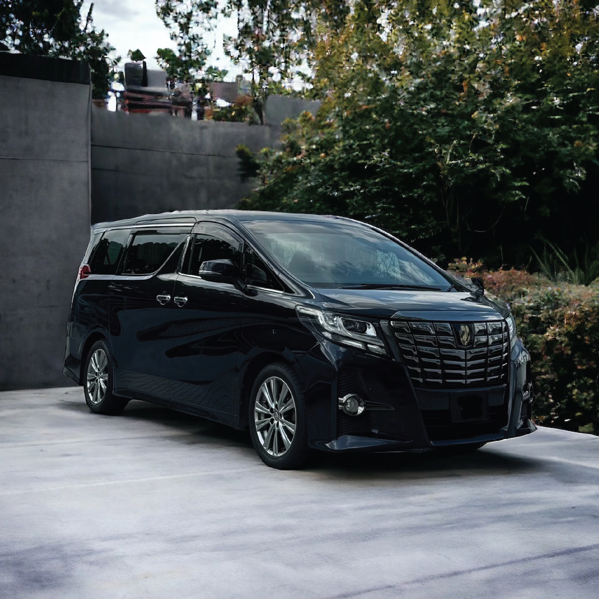 alphard02