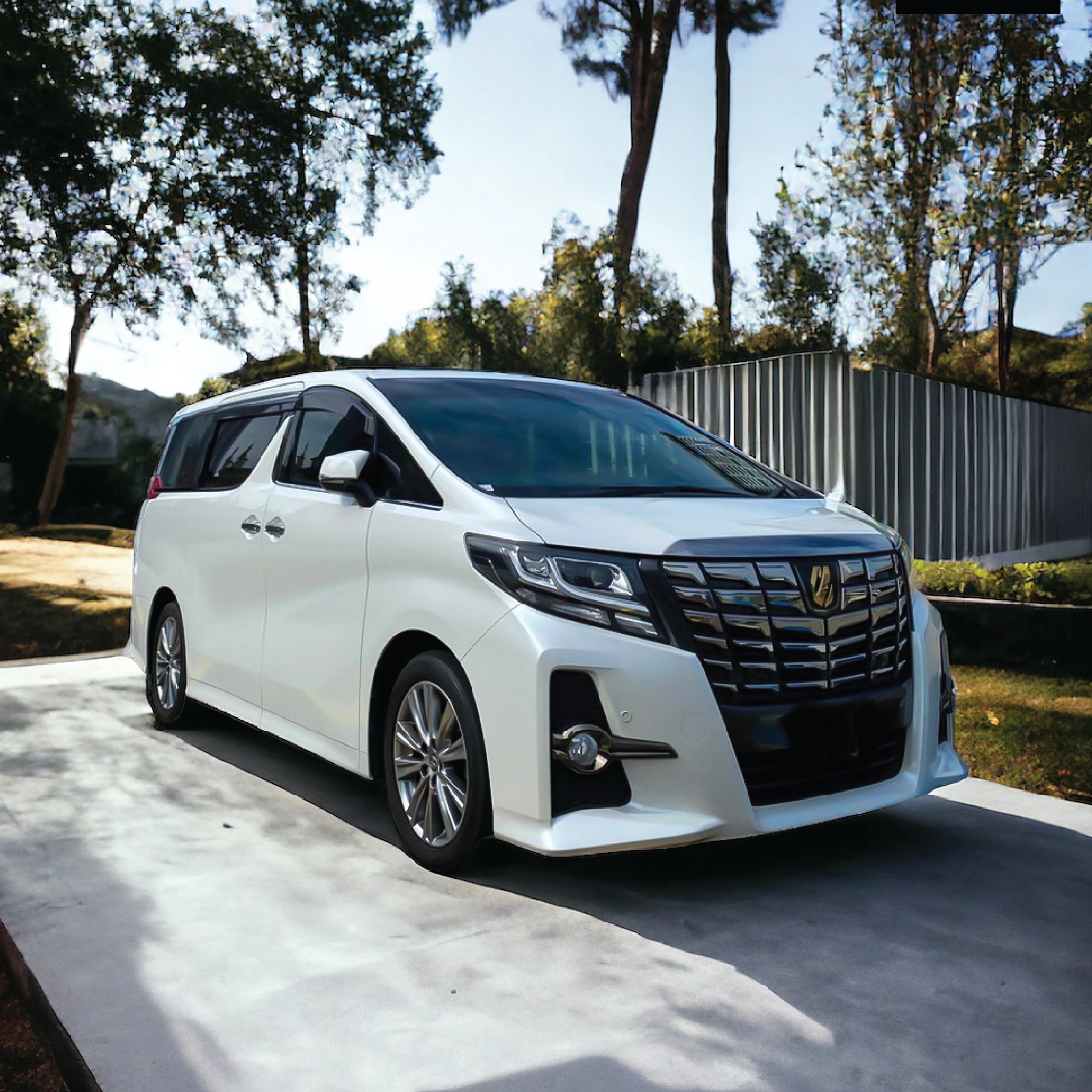 alphard03